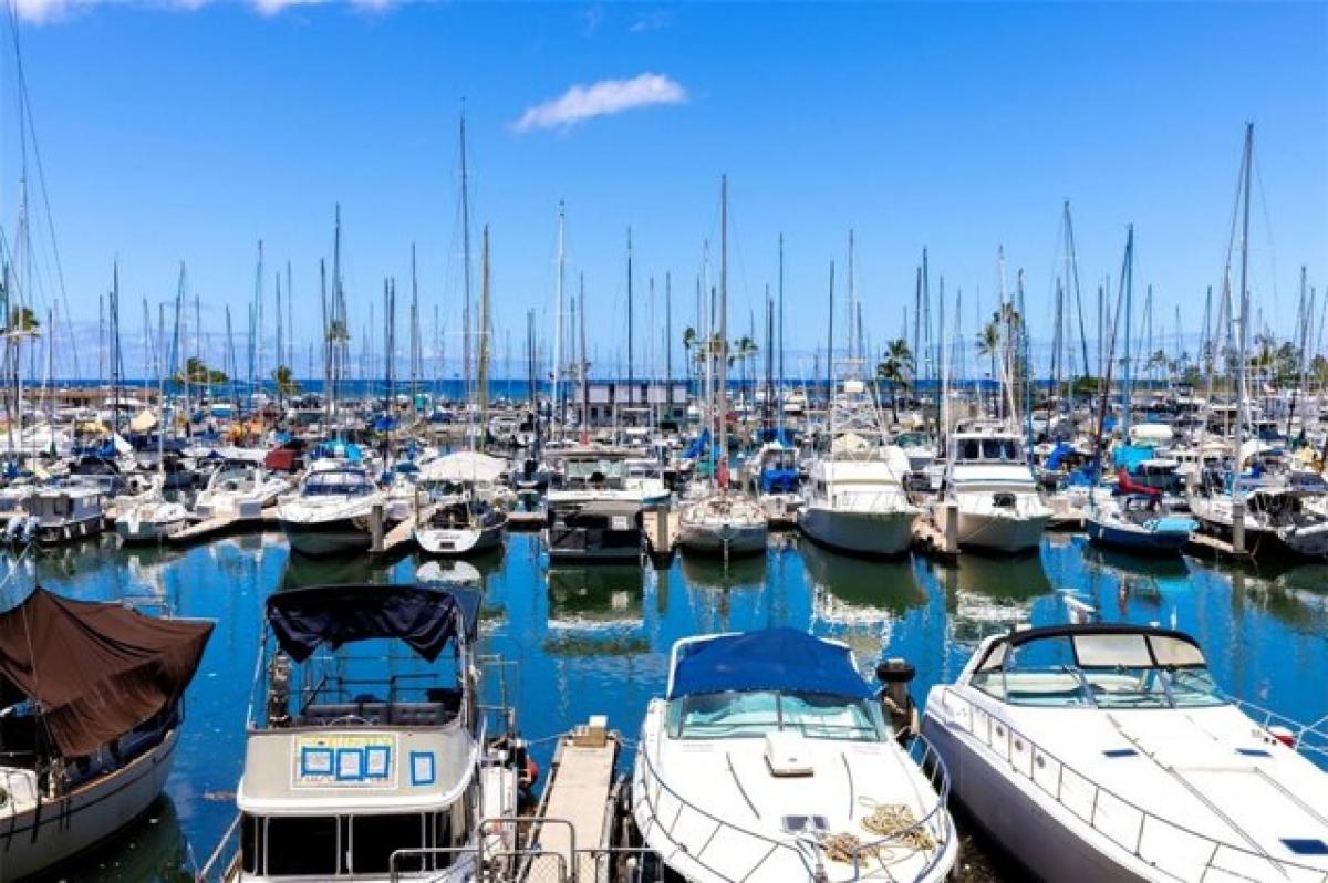 Studio in Honolulu, USA No. 384416