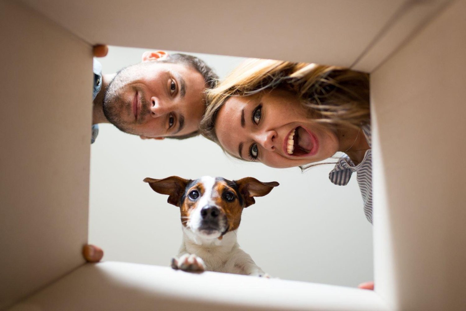 Bungalow T3 em Brandenburg, Germany N.º 43453