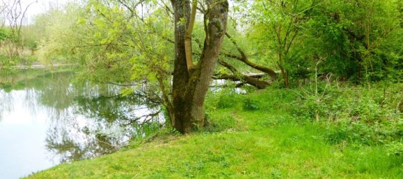 Casa de 4 dormitorios en Nargis, France No. 92543 15