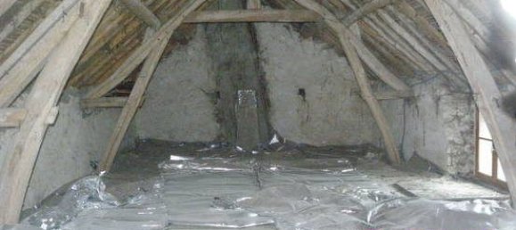 Casa de 4 dormitorios en Nargis, France No. 92543 9