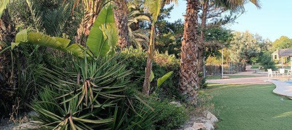 5 Schlafzimmer Haus in Molina de Segura, Spain, Nr. 149628 4