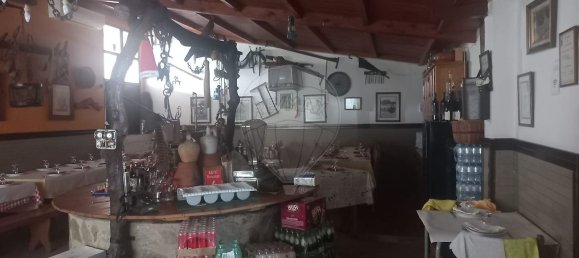 4 Schlafzimmer Haus in Sao Cristovao, Portugal, Nr. 28540 12