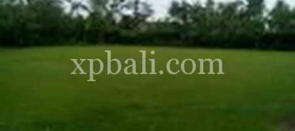 Grundstück in Ubud, Indonesia 2734m², Nr. 3831 3