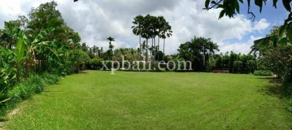Grundstück in Ubud, Indonesia 2734m², Nr. 3831 4