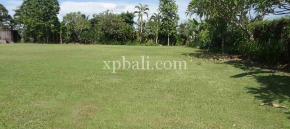 Grundstück in Ubud, Indonesia 2734m², Nr. 3831 7
