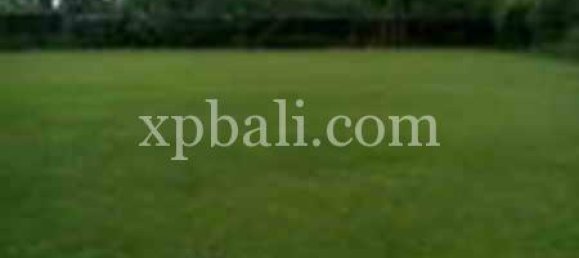 Grundstück in Ubud, Indonesia 2734m², Nr. 3831 8