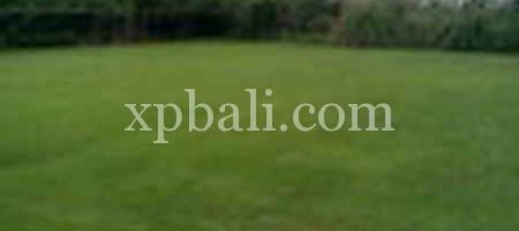 Grundstück in Ubud, Indonesia 2734m², Nr. 3831 2