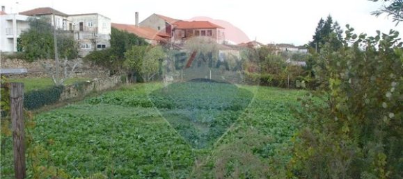 4 chambres Maison à Caria, Portugal No. 182755 15