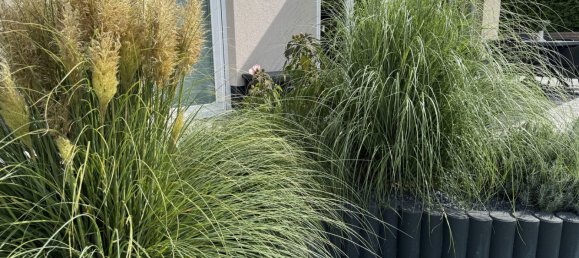 6 rooms Villa in Dahme-Spreewald, Germany No. 333070 2