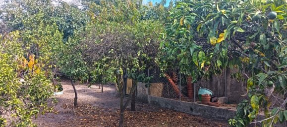 4 Schlafzimmer Haus in Estarreja, Portugal, Nr. 348292 28