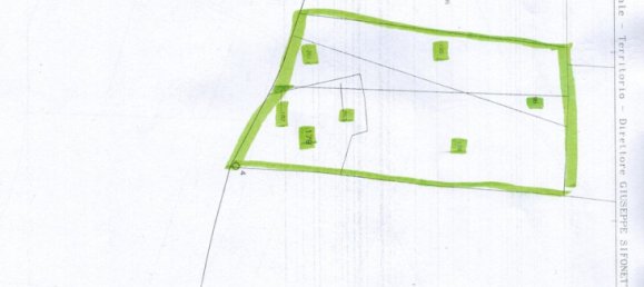 Grundstück in Rocca Imperiale, Italy 16525m², Nr. 165228 15