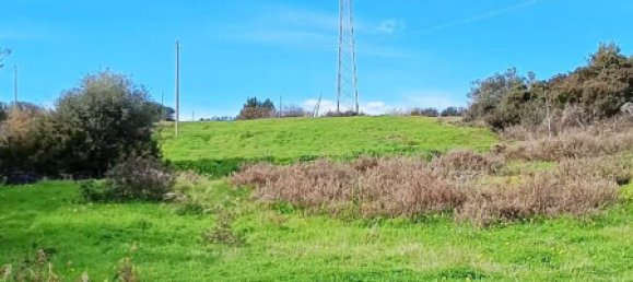 Grundstück in Rocca Imperiale, Italy 16525m², Nr. 165228 12