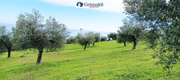 Grundstück in Rocca Imperiale, Italy 16525m², Nr. 165228 9