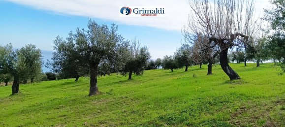 Grundstück in Rocca Imperiale, Italy 16525m², Nr. 165228 8