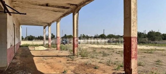 5 غرف نوم فيلا في Ugento, Italy رقم 371092 2