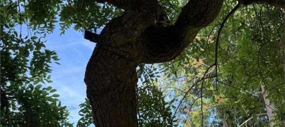 7 غرف نوم فيلا في Carcare, Italy رقم 334724 27