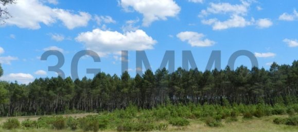 5 Schlafzimmer Haus in Arx, France, Nr. 192551 15