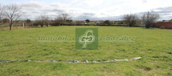 2467m² Land in Zamora, Spain No. 68921 11