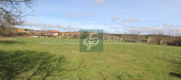 2467m² Land in Zamora, Spain No. 68921 4
