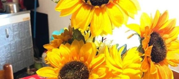 4-Zimmer Wohnung in Ancona, Italy, Nr. 35962 6