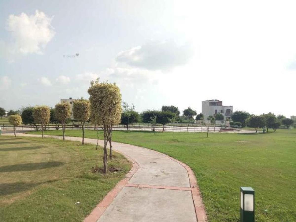  Land in Mohali, India No. 33264