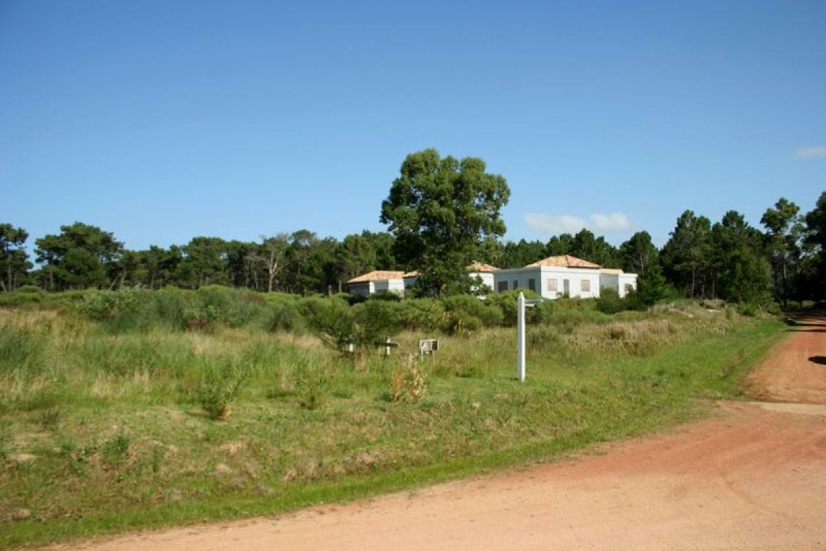 Terreno en Maldonado, Uruguay No. 15566