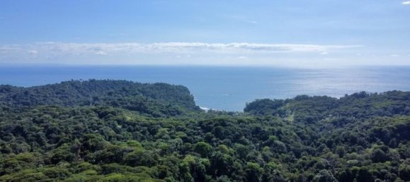 Terreno em Puerto Jimenez, Costa Rica N.º 1543 3