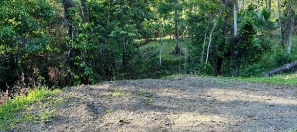 Terreno em Puerto Jimenez, Costa Rica N.º 1543 5