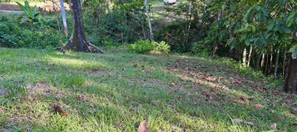 Terreno em Puerto Jimenez, Costa Rica N.º 1543 6