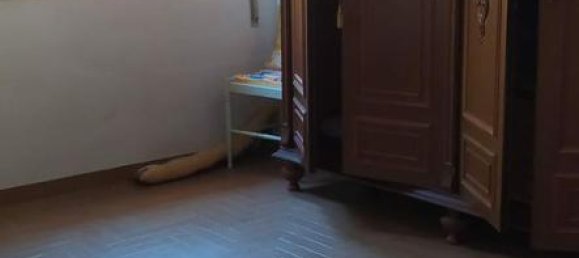 10 rooms House in Massarosa, Italy No. 238145 13