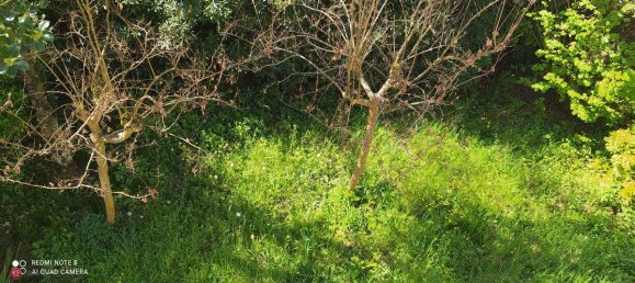 10 rooms House in Massarosa, Italy No. 238145 15