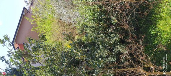 10 rooms House in Massarosa, Italy No. 238145 16