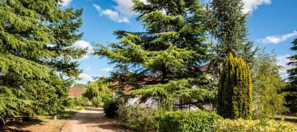 3 bedrooms House in Noyers-sur-Cher, France No. 277632 7