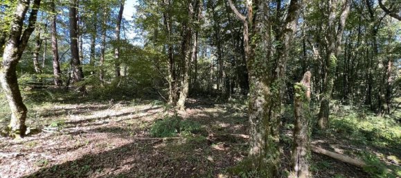 Земельный участок 14696м² в Брив-ла-Гайард, Франция № 97257 6