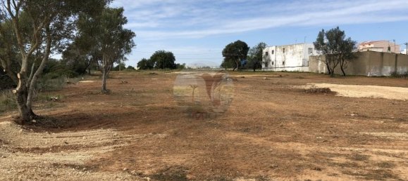Land in Salir, Portugal No. 146682 4
