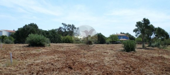 Land in Salir, Portugal No. 146682 21