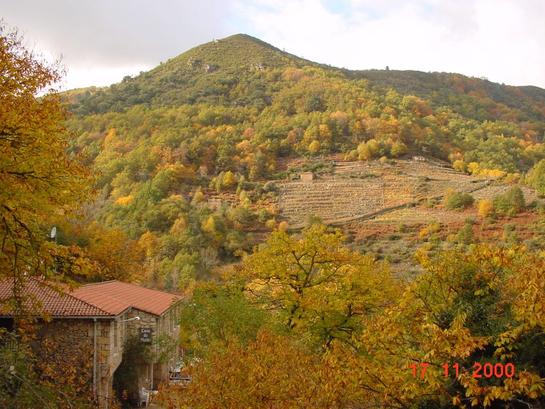 49m² Commercial property in Ourense, Spain No. 185020