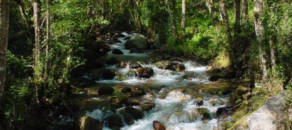 49m² Commercial property in Ourense, Spain No. 185020 3