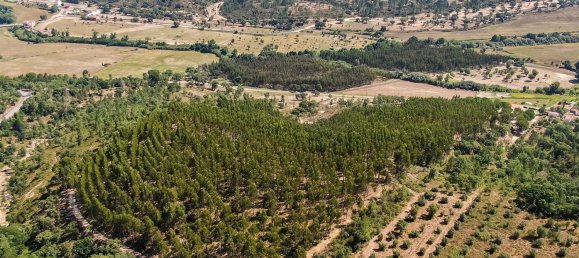 4 bedrooms Land in Abrantes, Portugal No. 141835 45