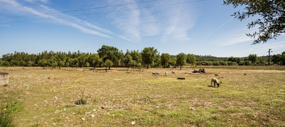 4 bedrooms Land in Abrantes, Portugal No. 141835 32