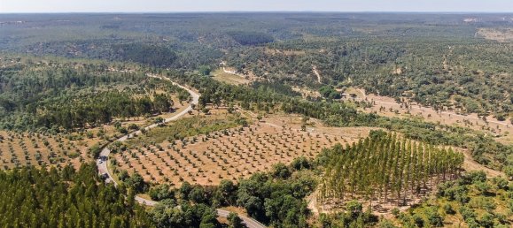 4 bedrooms Land in Abrantes, Portugal No. 141835 38