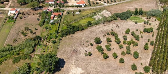 4 bedrooms Land in Abrantes, Portugal No. 141835 39