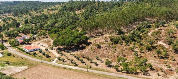 4 bedrooms Land in Abrantes, Portugal No. 141835 41