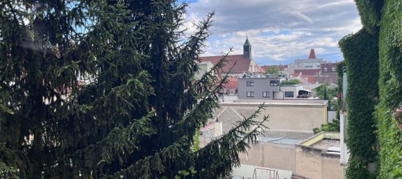 Квартира с 3 комнатами в Винер Нойштадт, Австрия № 207997 4