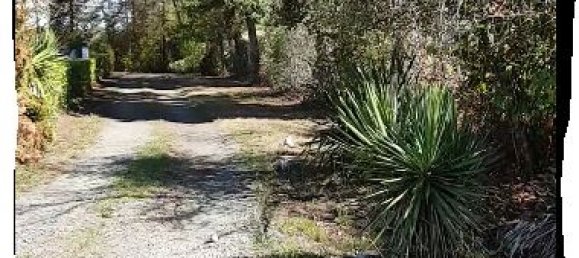  Land in Narrosse, France No. 319826 2