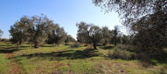 Casa de 4 divisões em Nardò, Italy N.º 118764 35