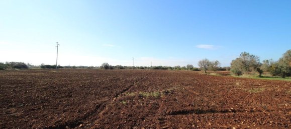 Casa de 4 divisões em Nardò, Italy N.º 118764 38