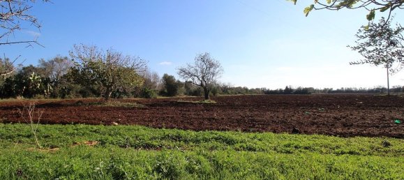 Casa de 4 divisões em Nardò, Italy N.º 118764 6