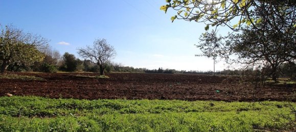 Casa de 4 divisões em Nardò, Italy N.º 118764 5