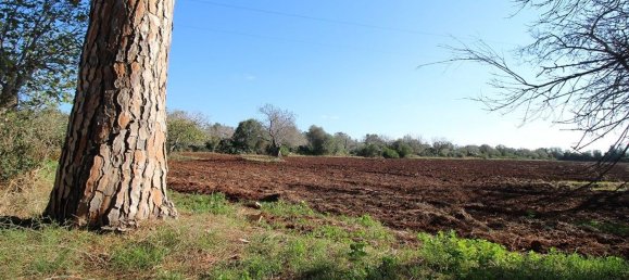 Casa de 4 divisões em Nardò, Italy N.º 118764 7